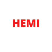 GRUPO HEMI